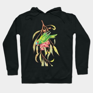 Musk lorikeet parrot and eucalyptus branch with pink flowers Hoodie